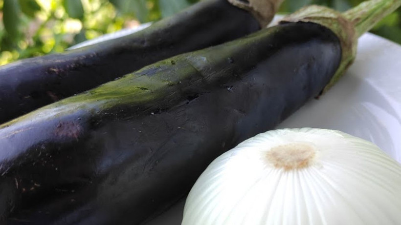 Tek başına basuru bitiriyor; Hazine gibi sebzeyi hep çöpe atmışız… - Resim: 2