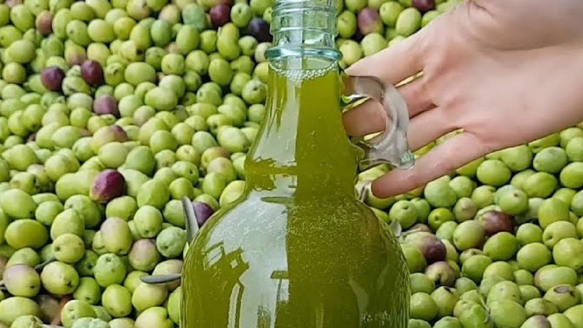 Hafızayı tıkır tıkır çalıştıran kür- Zeytinyağı ekleyince etkisi artıyor - Resim: 4