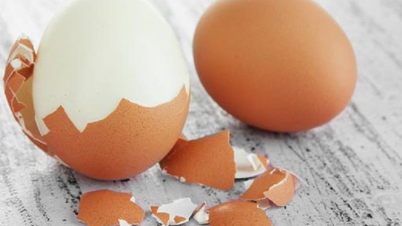 Yumurta yılan derisi gibi soyuluyor- Yumurtanın kabuğu tek hamlede kalıp gibi çıkacak… - Resim: 2