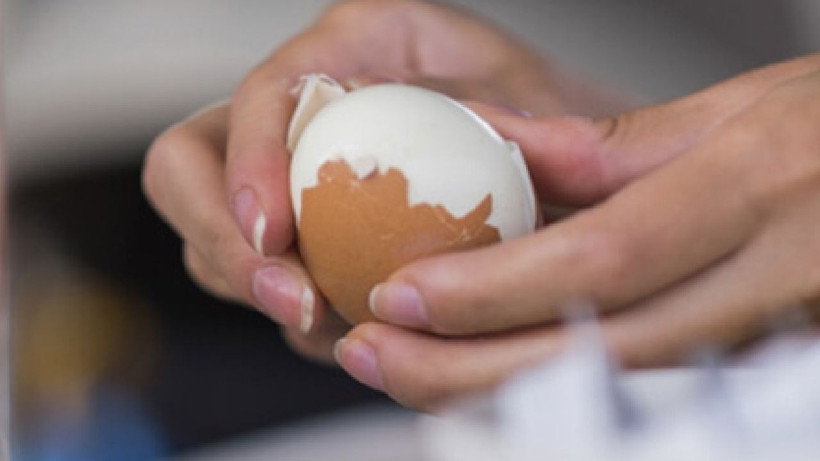 Yumurta yılan derisi gibi soyuluyor- Yumurtanın kabuğu tek hamlede kalıp gibi çıkacak… - Resim: 3