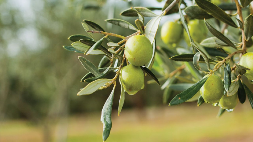 Altından daha çok kar ettirdi! Stoklayanın yüzü gülüyor… - Resim: 4