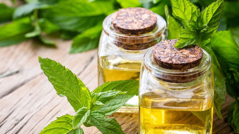 Yastığınıza bir damla damlatın etkisini görün; Sadece mutfaklarda tüketilmiyor - Resim: 2