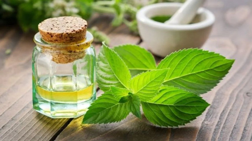 Yastığınıza bir damla damlatın etkisini görün; Sadece mutfaklarda tüketilmiyor - Resim: 3