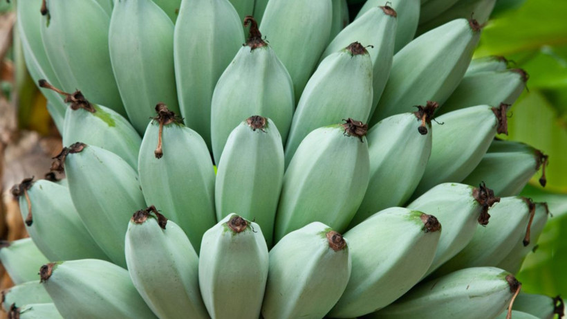 Muzu kararmadan saklamanın tek tüyosu- Aylarca lezzeti değişmiyor - Resim: 2