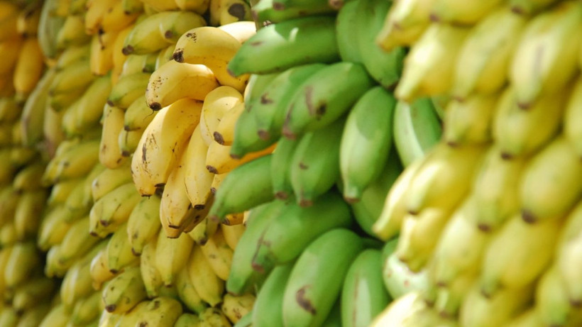 Muzu kararmadan saklamanın tek tüyosu- Aylarca lezzeti değişmiyor - Resim: 1