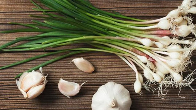 Malagalı İbnü'l - Baytar asırlar önce önermişti! Kurusunu tüketiyorduk yaşı daha faydalı çıktı - Resim: 2