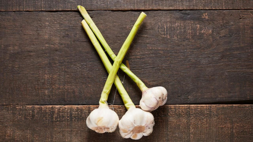 Malagalı İbnü'l - Baytar asırlar önce önermişti! Kurusunu tüketiyorduk yaşı daha faydalı çıktı - Resim: 4