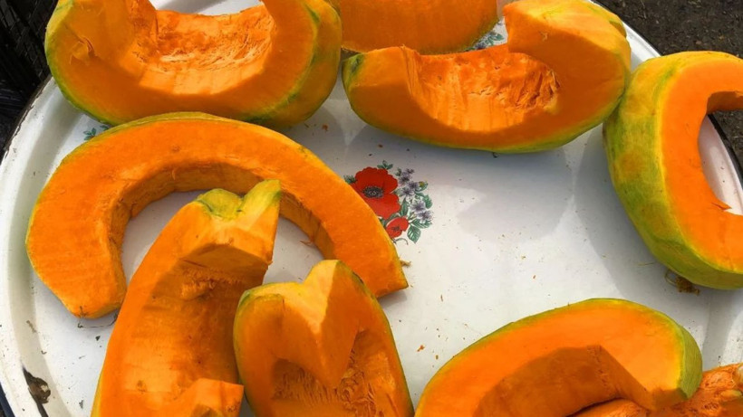 Kabak tatlısı için kabak seçerken bu lekeye dikkat- Bu kabağın tatlısı çok daha lezzetli oluyor - Resim: 4