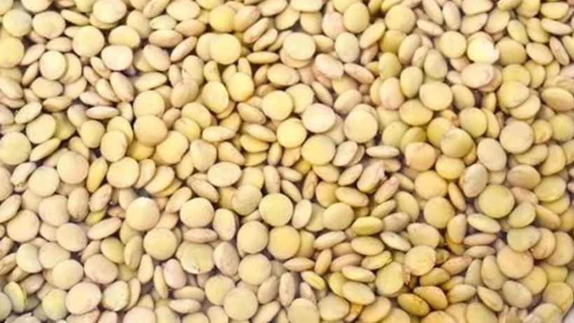 Yeniden çıkmıyorlar* Yüzdeki istenmeyen tüyleri doğal yollarla yok eden yöntem- iz kalmıyor - Resim: 4