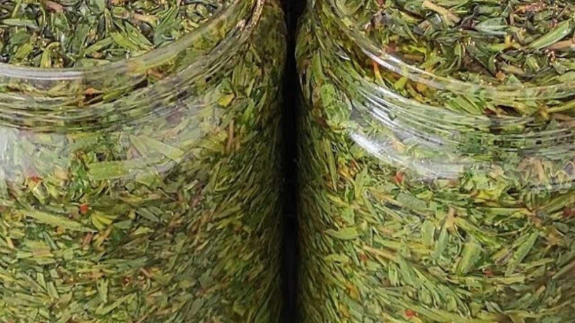 Limon ve sarımsaktan 30 kat daha güçlü! Kurusunu tüketiyorduk fakat yağı daha faydalıymış - Resim: 1