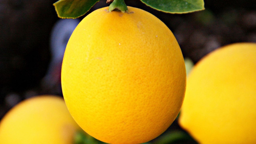 Limonu foşur foşur sulandıran tüyo* Birçok ev hanımı bilmiyor - Resim: 1