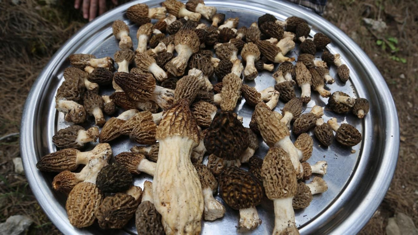 Günlük 300-500 değil tam 5 bin TL kazanıyor! Bu rakamı duyan Antalya’ya bilet alıyor - Resim: 2