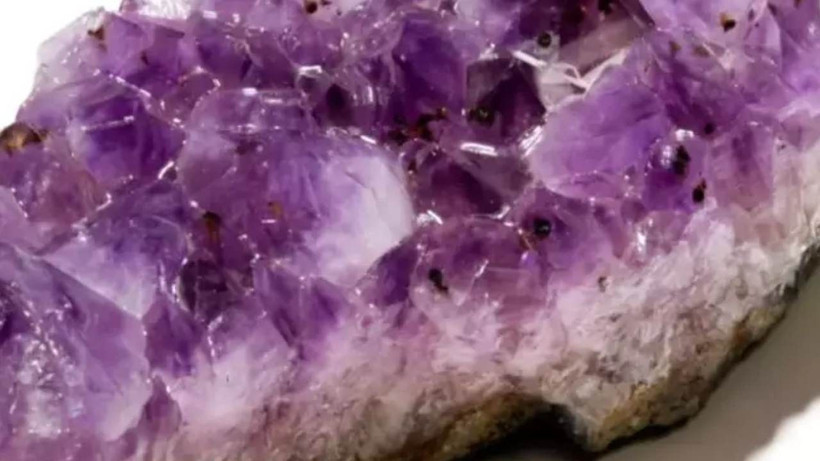 Radyasyonu anında kesen doğal taş - Kaktüs bu taşın yanında solda sıfır kalıyor - Resim: 4