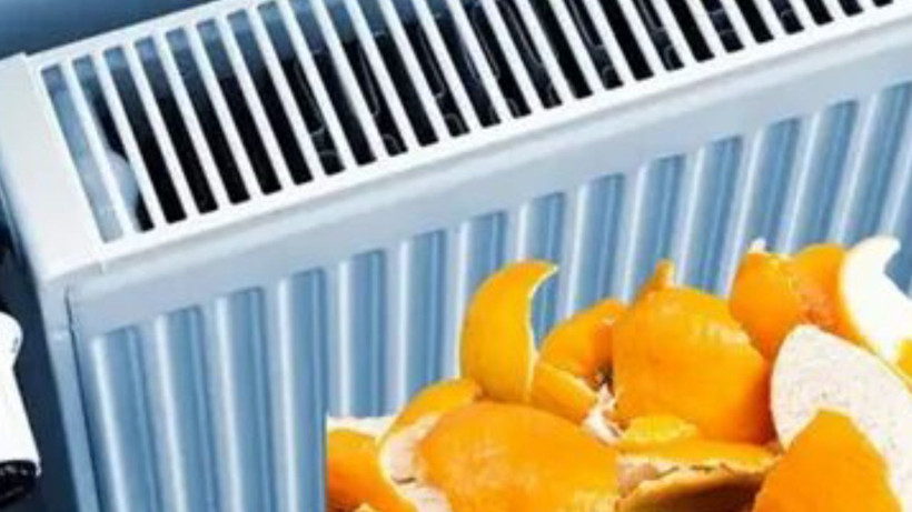 Sadece güzel koksun diye yaptık. Meğer asıl sebebi buymuş - Resim: 4