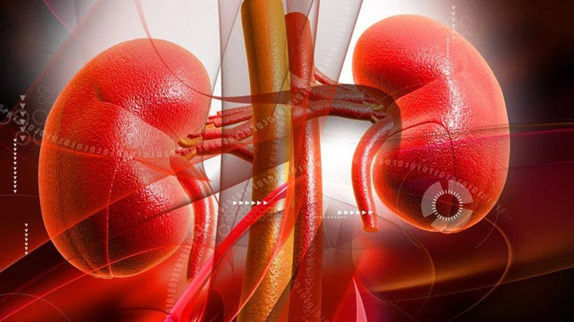 Böbrek taşı sancısı çekenler dikkat! 8 mm'den büyük taşları bile düşürüyor - Resim: 1