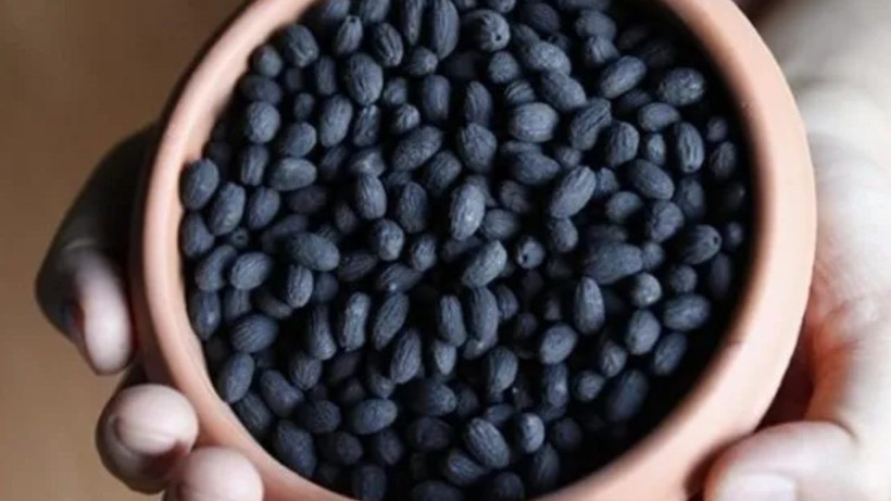 1 tanesi bile hemoroid problemini yok ediyor! Meğerse şifası mutfağımızda gizliymiş - Resim: 3