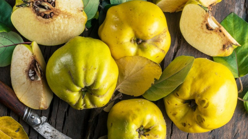 Ayva kabuklarını çöpe atanlar bin pişman* Meğer böyle tüketilince şifa deposu oluyormuş - Resim: 1