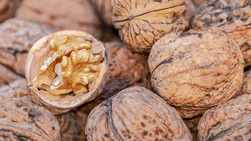 Ceviz kırmanın püf noktası* 1 saniye beyin gibi çıkıyor - Resim: 1