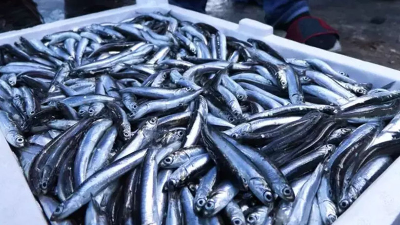 Balığı pişirirken bu yöntemi deneyin. Asla tavaya ve mangala yapışmıyor - Resim: 1