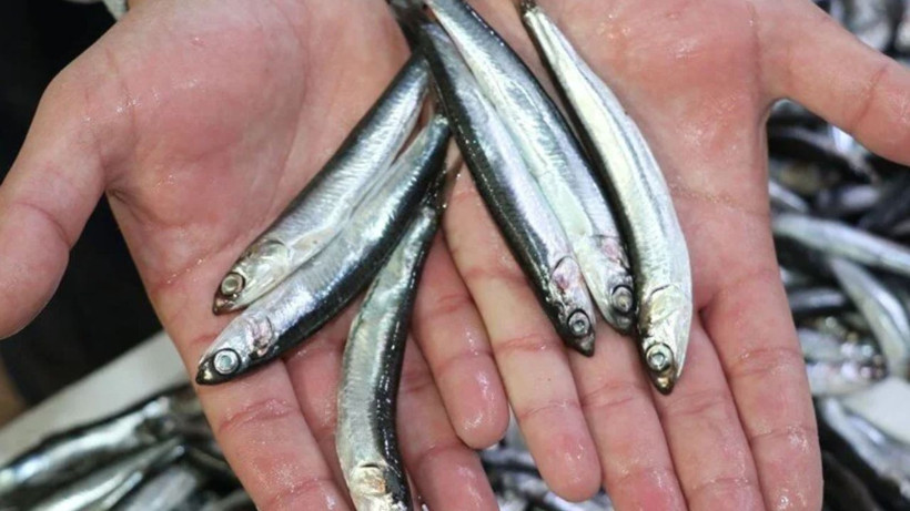 Balığı pişirirken bu yöntemi deneyin. Asla tavaya ve mangala yapışmıyor - Resim: 2