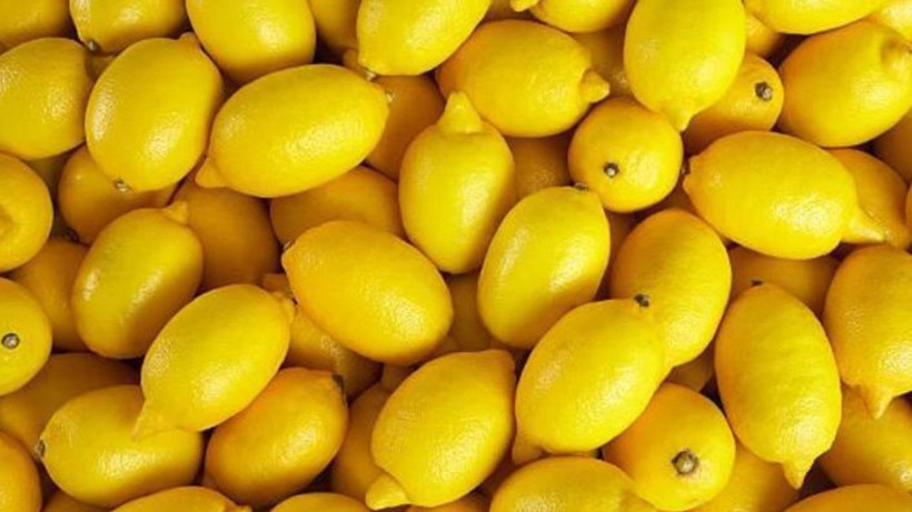 Ev hanımları biliyor ama denemeye çekiniyordu! Limonun suyunu iki katına çıkarıyormuş - Resim: 2