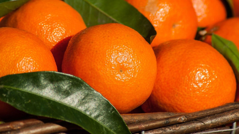 Ekşi mandalinaları şeker gibi yapıyor. Japonların sır gibi sakladığı yöntem - Resim: 4