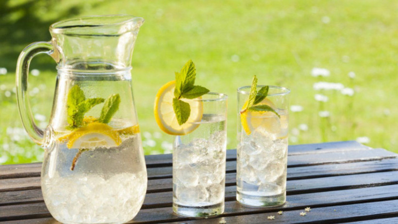 Canan Karatay önerdiğinde burun kıvırmıştık. Limonlu su bakın ne işe yarıyormuş... - Resim: 4