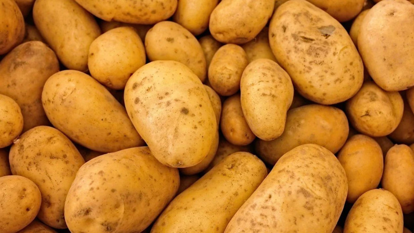 Patatesi böyle saklayın. Aylarca yeşerme ve filizlenme olmuyor - Resim: 1