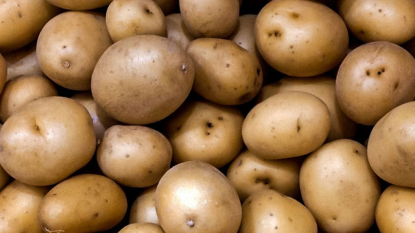 Patatesi böyle saklayın. Aylarca yeşerme ve filizlenme olmuyor - Resim: 3