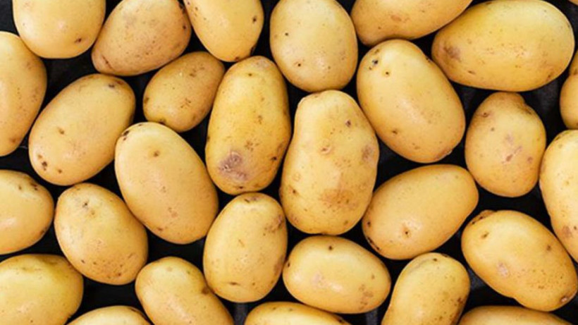 Patatesi böyle saklayın. Aylarca yeşerme ve filizlenme olmuyor - Resim: 4