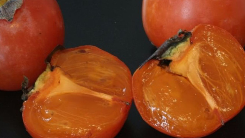 Hep meyve olarak tükettik. Aslında cildi parlatıyor ve onarıyormuş - Resim: 2