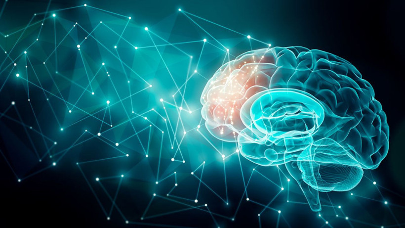 Tatlı kaşığının ucu kadarı bile anında beyne etki ediyor; Her mutfakta olan baharat - Resim: 4