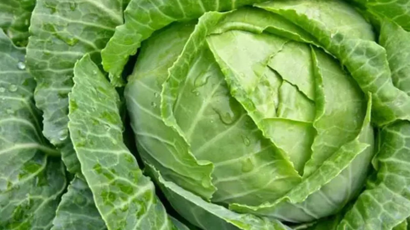 Canan Karatay önerdi- Hep turşusunu yemiştik kavurması da şifalı oluyor - Resim: 4