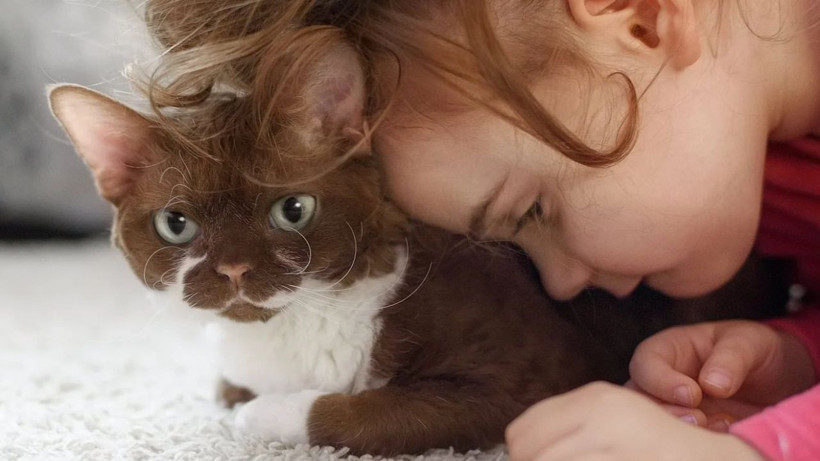 Dert dinlemeyi seven 3 burç- Arkadaşları adeta kapılarında yatıyor - Resim: 2