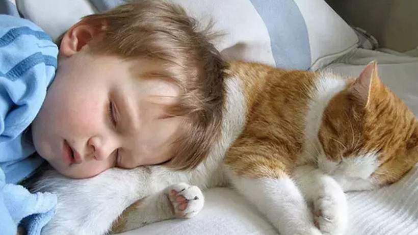 Dert dinlemeyi seven 3 burç- Arkadaşları adeta kapılarında yatıyor - Resim: 4