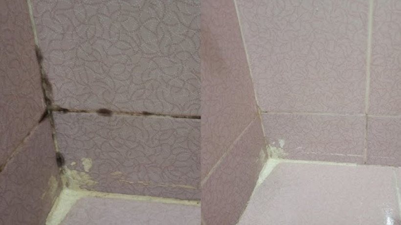 Derzleri dökmeden fayans aralarını parlatma yöntemi- Çamaşır suyuna gerek kalmıyor. - Resim: 3