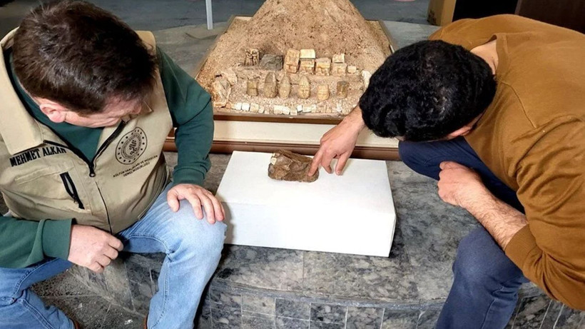 Adıyaman'da bulundu: 15 milyon yıllık balık fosili - Resim: 1