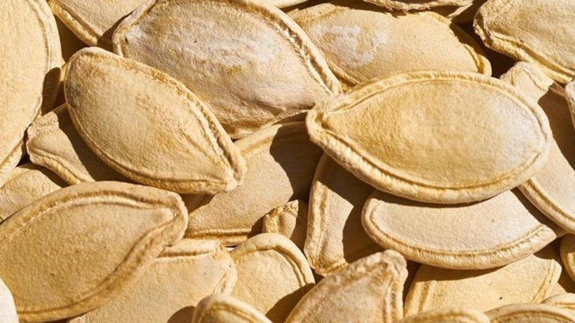 Kabak çekirdeği kabuğunu çöpe atıyorsanız atmayın. Bakın ne işe yarıyormuş! - Resim: 1