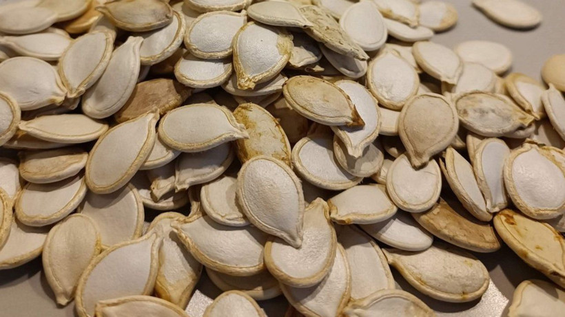 Kabak çekirdeği kabuğunu çöpe atıyorsanız atmayın. Bakın ne işe yarıyormuş! - Resim: 2