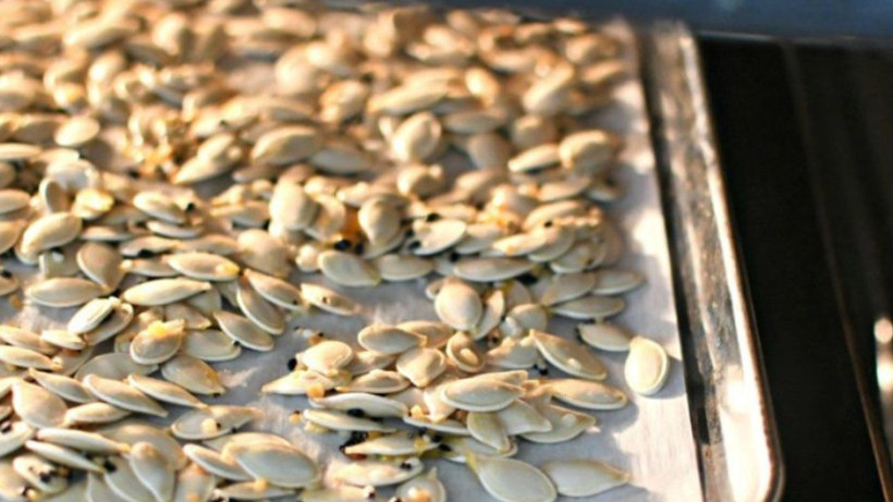 Kabak çekirdeği kabuğunu çöpe atıyorsanız atmayın. Bakın ne işe yarıyormuş! - Resim: 3