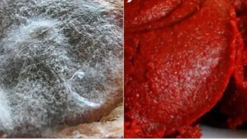 Salçanın pamuklanmasını önleyen öneri- 1 kaşık sürseniz bile yetiyor. - Resim: 1