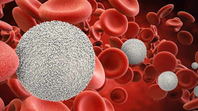 Bu kan grubuna sahip kişilerden zeka fışkırıyor; Araştırmalar ortaya çıkardı - Resim: 1