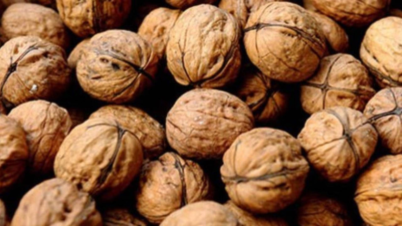 Hafızaya çok iyi geliyor... Tatlılara bile eklenebilir; Canan Karatay'ın tercihiymiş - Resim: 1