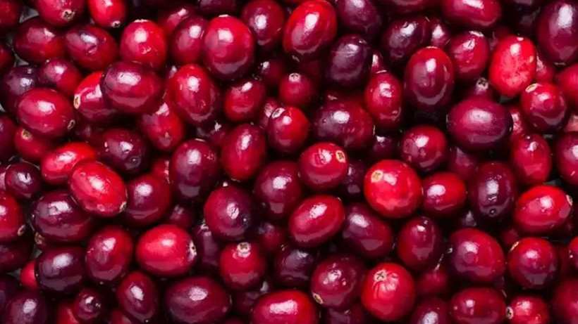 Tüm kanser hücrelerini yok ediyor! Rengi kan kırmızı tadı muhteşem - Resim: 1