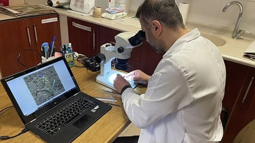 Duyanlar Kayseri’ye gitmek için yola çıktı; Dünyada eşi benzeri yok - Resim: 3