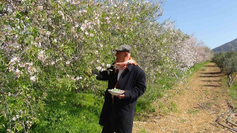 Kilo ile değil gram ile satın alınıyor; Tezgahlardaki fiyatını gören inanamıyor - Resim: 1