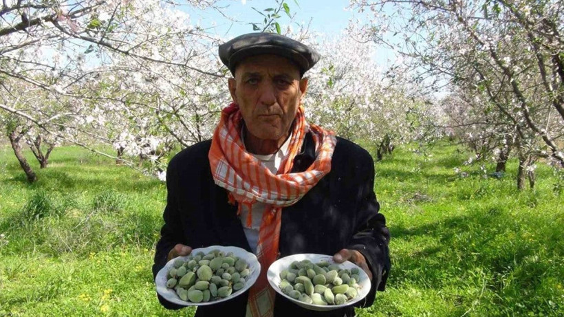 Kilo ile değil gram ile satın alınıyor; Tezgahlardaki fiyatını gören inanamıyor - Resim: 2