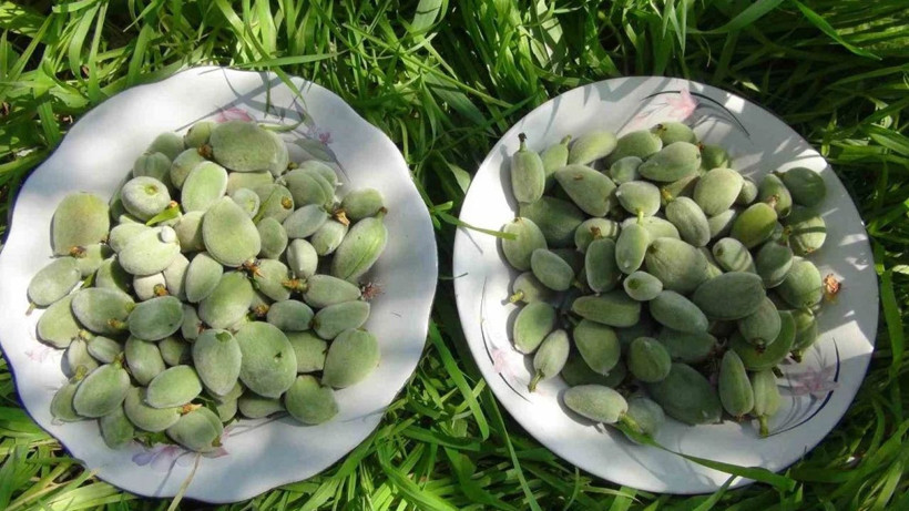 Kilo ile değil gram ile satın alınıyor; Tezgahlardaki fiyatını gören inanamıyor - Resim: 3