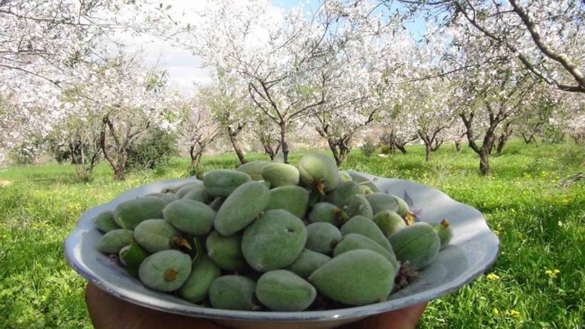 Kilo ile değil gram ile satın alınıyor; Tezgahlardaki fiyatını gören inanamıyor - Resim: 4