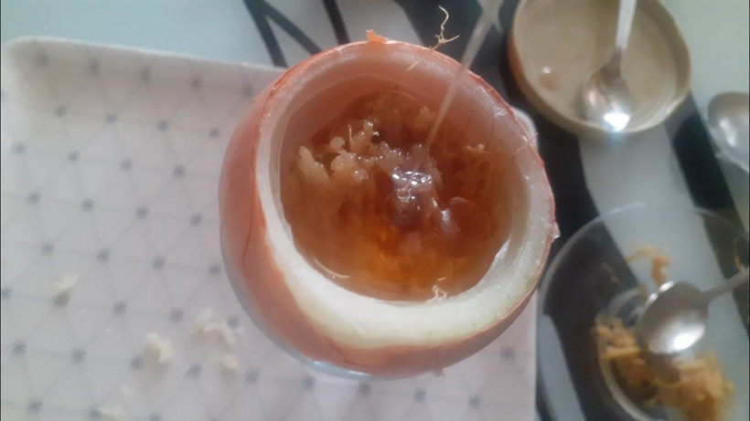 Geçmeyen öksürüğü jilet gibi kesen kür; İbni Sina asırlar önce açıklamış - Resim: 1